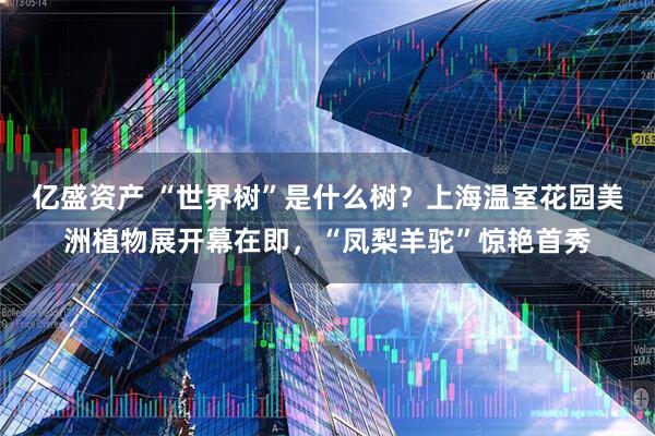 亿盛资产 “世界树”是什么树？上海温室花园美洲植物展开幕在即，“凤梨羊驼”惊艳首秀